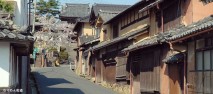 ちりめん街道