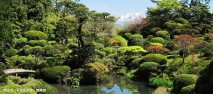 酒田市　本間美術館　鶴舞園