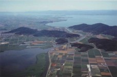 近江八幡の水郷