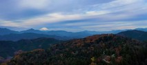 霊気満山　高尾山 ～人々の祈りが紡ぐ桑都物語～