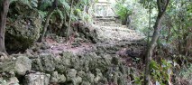 琉球王国時代から連綿と続く沖縄の伝統的な「琉球料理」と「泡盛」、そして「芸能」