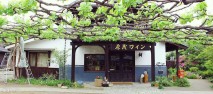 葡萄畑が織りなす風景 −山梨県峡東地域−