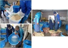 熊川葛の製作技法