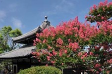 本覚寺