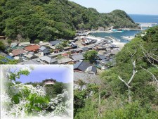 鰐浦（朝鮮通信使寄港地、ヒトツバタゴ自生地）