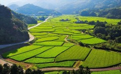 農村景観（田染荘小崎の農村景観）