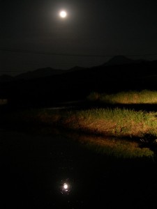 姨捨の棚田