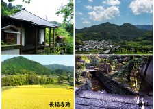 日根荘遺跡 