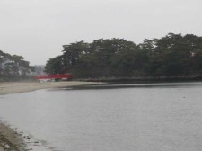 雄島