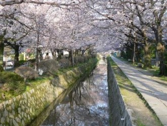 疏水分線