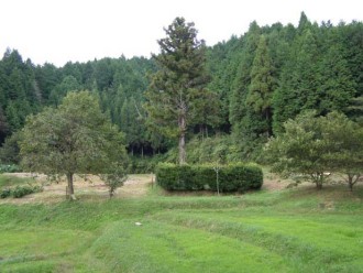 和田公方屋敷跡