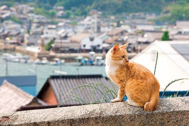 時間