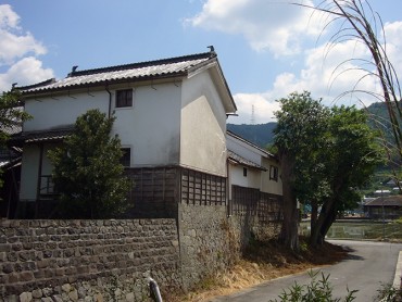舞中島地区