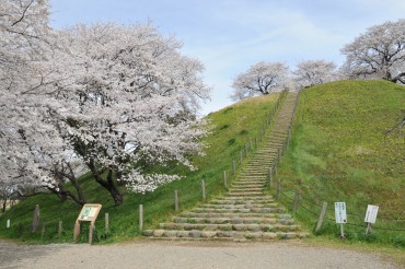 さきたま古墳公園（県立さきたま史跡の博物館）