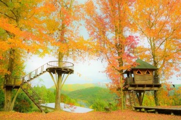 キャンプ場　バルンバルンの森