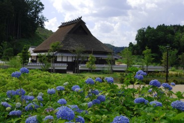 丹波並木道中央公園