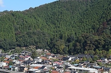 智頭町の林業景観（ちづちょうのりんぎょうけいかん）