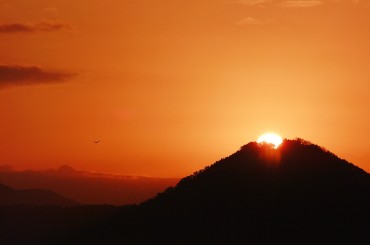 高城山 (八上城跡)