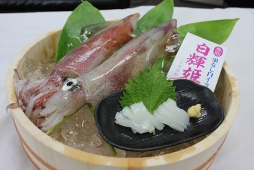 白いか（鳥取市）