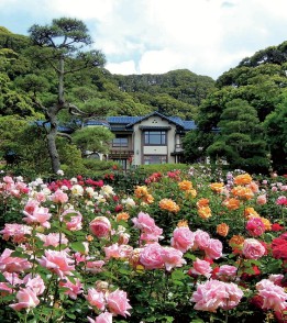 鎌倉文学館（旧前田家鎌倉別邸）