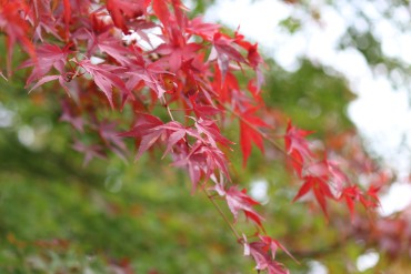 日本遺産認定記念出前講座を実施しました！