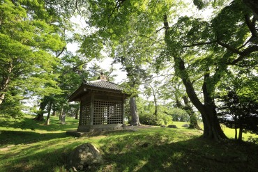「“伊達”な文化」が息づくまち　多賀城の食べ処・飲み処・みやげ処