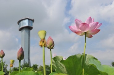 古代蓮の里（古代蓮会館）