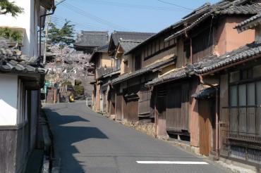 ちりめん街道