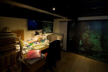 山本二三美術館