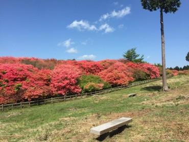 船窪つつじ公園