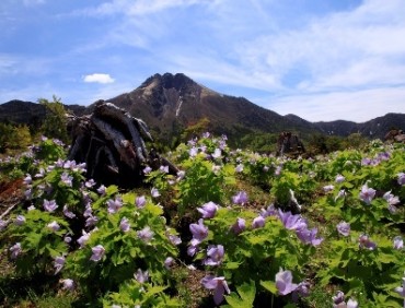 日光白根山・丸沼