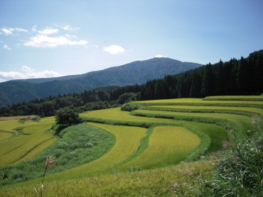 別宮の棚田