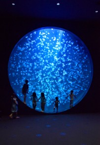 鶴岡市立加茂水族館