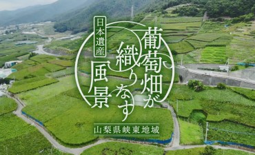 この地域には四季折々の魅力的な「風景」があります