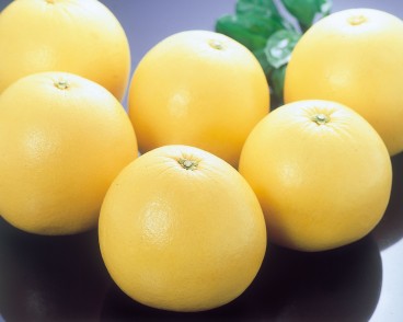 晩白柚(ばんぺいゆ)