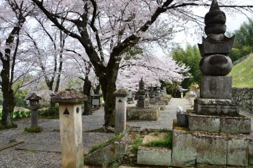 織田氏七代の墓