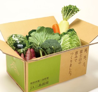 箱根西麓三島野菜
