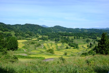 十日町市の宿泊先（旅館・ホテルなど）