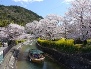 四季折々の表情を見せる琵琶湖疏水