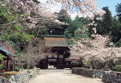 甲賀衆結束の場、油日神社