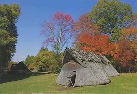尖石遺跡の縄文ムラ