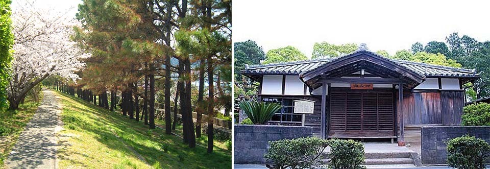 左：土で固めた堤防（広村堤防）/右：耐久社