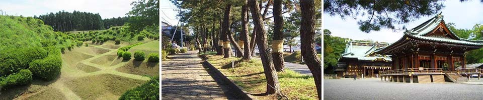 左：山中城跡/中：箱根旧街道（松並木）/右：三嶋大社