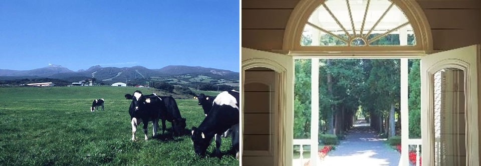 左：那須高原に広がる牧草地/右：青木邸から望む杉並木