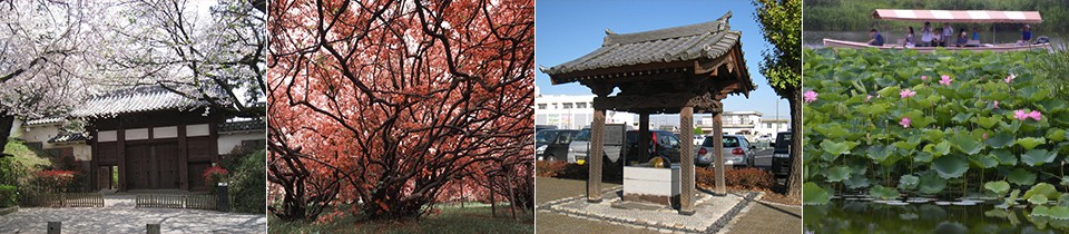 左1：館林城三の丸土橋門/左2：つつじ古木群/右2：龍神伝説の竜の井/右1：渡し舟が起源　花ハスクルーズ