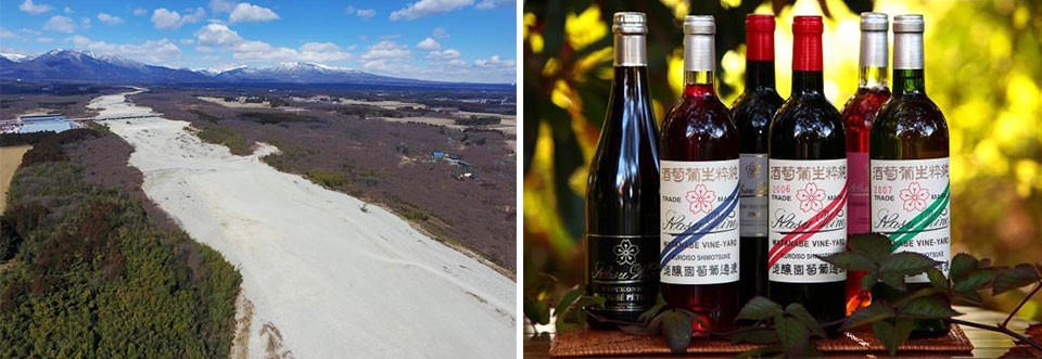 左：水の無い蛇尾川/右：明治17年から醸造されているワイン