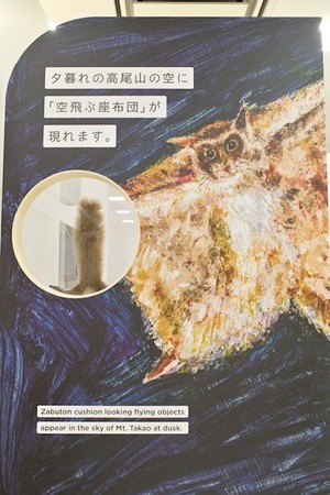 構成文化財でもある高尾山のムササビ。 壁の裏側には…？
