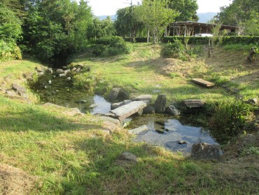 全国名水百選　江川湧水源　江川の水温異常現象