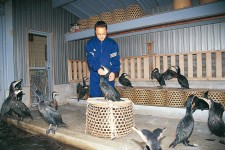 鵜匠家