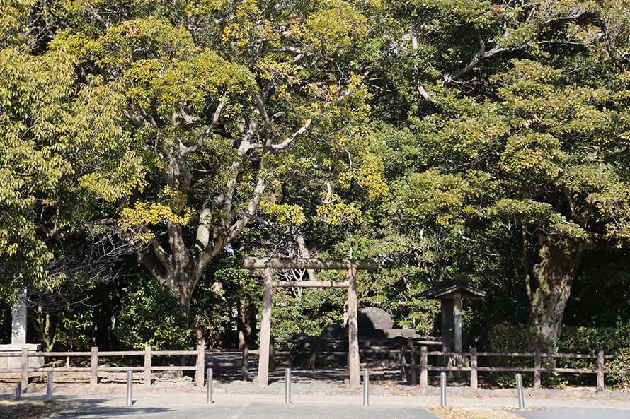 斎王の森